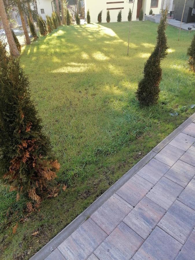Forest Andrijana Zlatibor Buitenkant foto