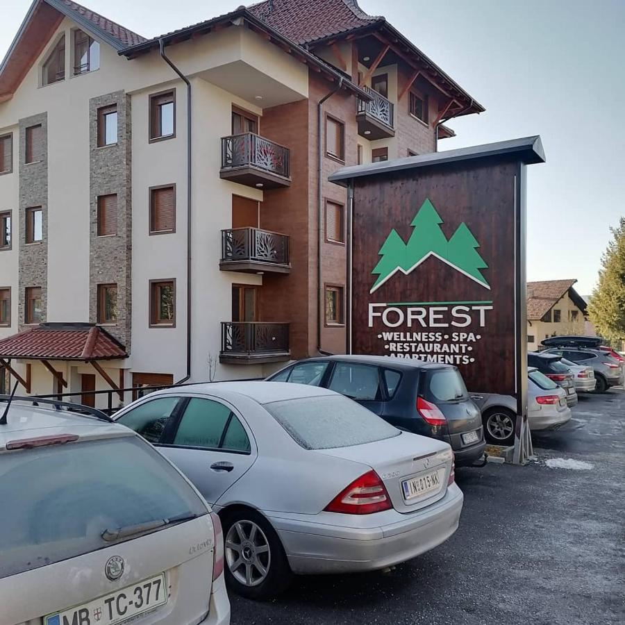 Forest Andrijana Appartement Zlatibor Buitenkant foto